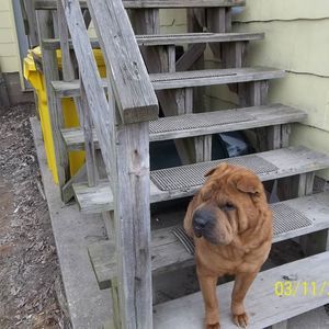 Meet your Posher, Debbie